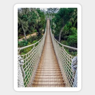 Canopy Trail at Santa Ana Wildlife Refuge Sticker